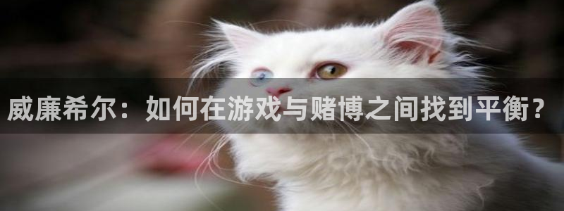 壹号娱乐凯捷平台