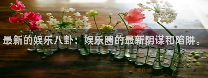 壹号娱乐体育用品