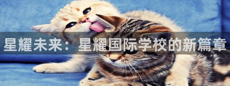 壹号娱乐平台开户链接：星耀未来：星耀国际学校的新篇章