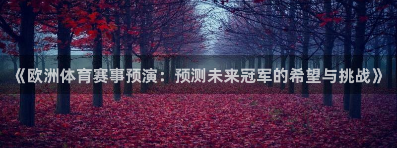壹号娱乐平台在线开户：《欧洲体育赛事预演：预测未来冠军的希望与挑战》