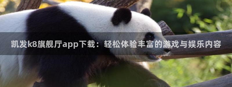 壹号娱乐体育：凯发k8旗舰厅app下载：轻松体验丰富的游戏与娱乐内容