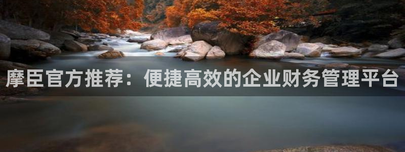 壹号娱乐平台：摩臣官方推荐：便捷高效的企业财务管理平台