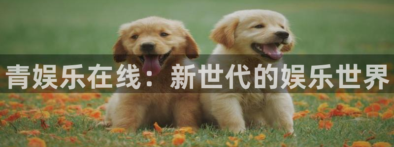 壹号娱乐2代理注册：青娱乐在线：新世代的娱乐世界