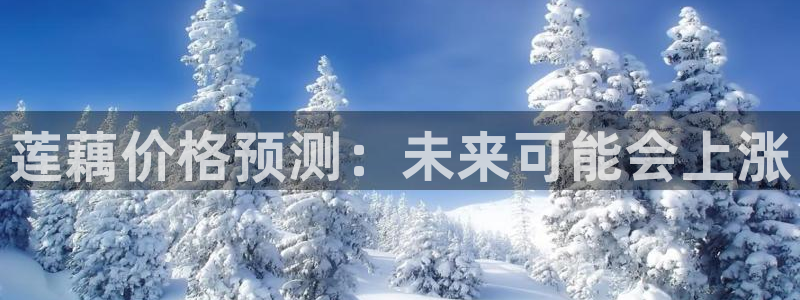 壹号娱乐主管：莲藕价格预测：未来可能会上涨