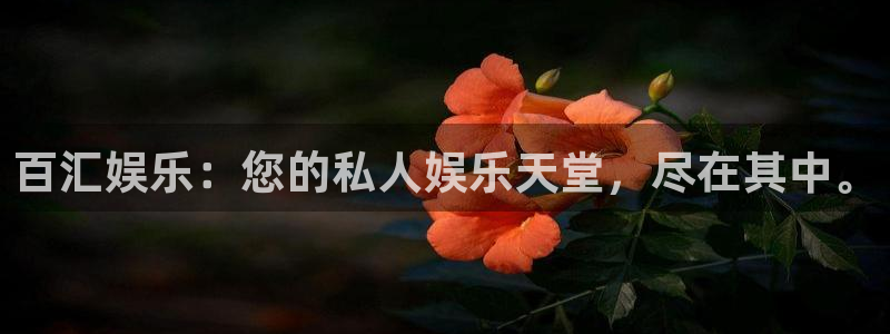 壹号娱乐体育平台注册：百汇娱乐：您的私人娱乐天堂，尽在其中。