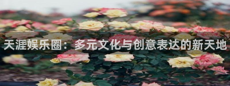 德国壹号娱乐集团：天涯娱乐圈：多元文化与创意表达的新天地