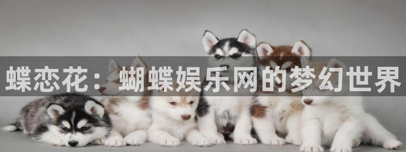 壹号娱乐3官网：蝶恋花：蝴蝶娱乐网的梦幻世界
