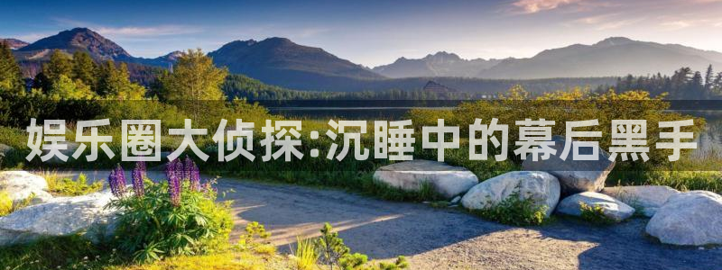 壹号娱乐体育平台总代理：娱乐圈大侦探:沉睡中的幕后黑手