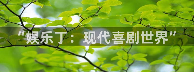 壹号娱乐集团股票：“娱乐丁：现代喜剧世界”