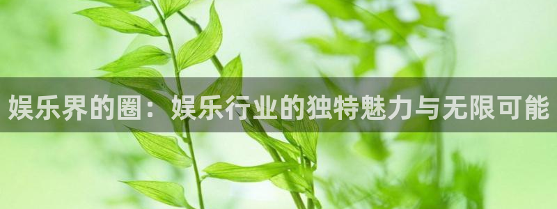 壹号娱乐平台在线注册：娱乐界的圈：娱乐行业的独特魅力与无限可能