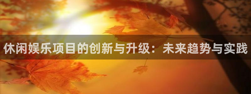 壹号娱乐3代理：休闲娱乐项目的创新与升级：未来趋势与实践