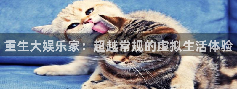 壹号娱乐3平台注册：重生大娱乐家：超越常规的虚拟生活体验