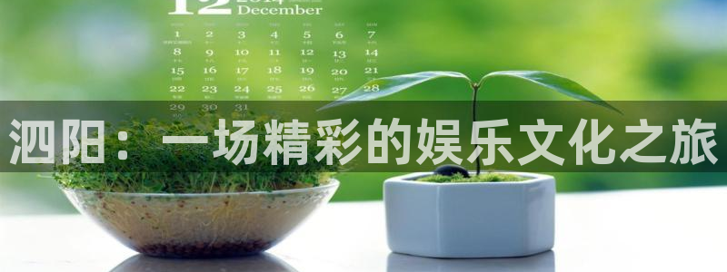 壹号娱乐主管：泗阳：一场精彩的娱乐文化之旅