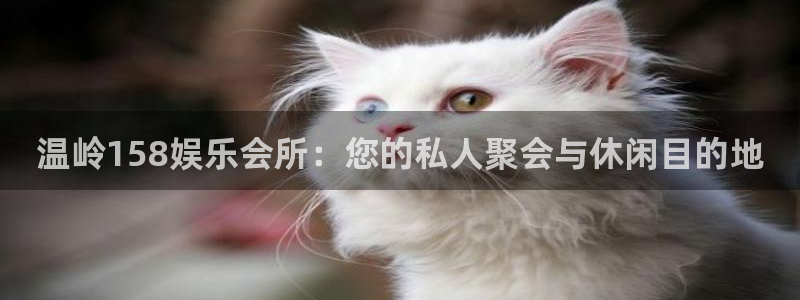 壹号娱乐凯捷注册：温岭158娱乐会所：您的私人聚会与休闲目的地