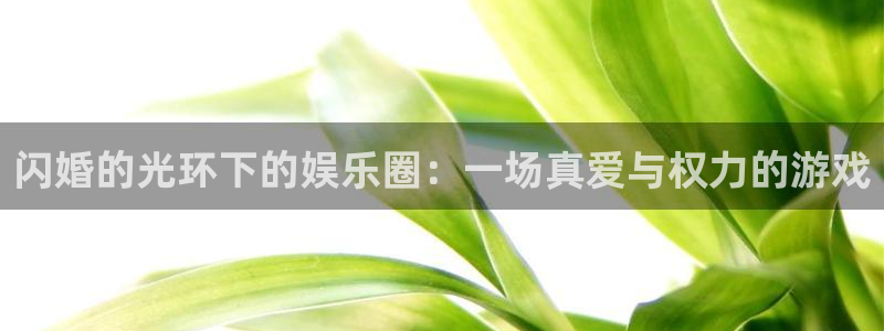 壹号娱乐5招商：闪婚的光环下的娱乐圈：一场真爱与权力的游戏
