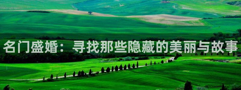 壹号娱乐平台：名门盛婚：寻找那些隐藏的美丽与故事