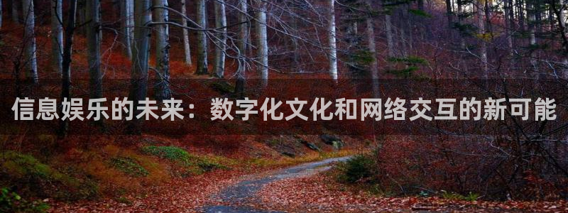 壹号娱乐招商：信息娱乐的未来：数字化文化和网络交互的新可能