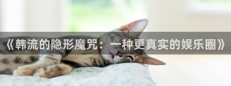 德国壹号娱乐集团：《韩流的隐形魔咒：一种更真实的娱乐圈》