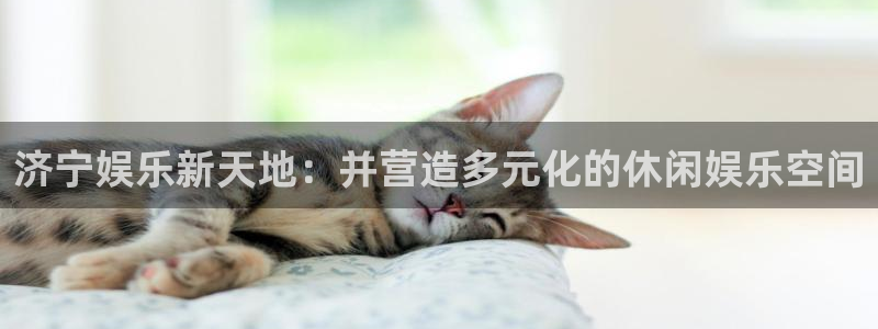 壹号娱乐招商：济宁娱乐新天地：并营造多元化的休闲娱乐空间