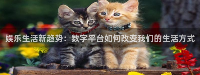 壹号娱乐体育3在线注册：娱乐生活新趋势：数字平台如何改变我们的生活方式