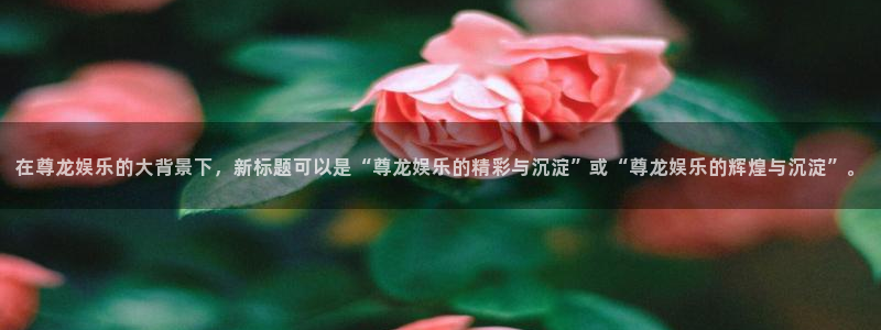 壹号娱乐凯捷平台注册链接：在尊龙娱乐的大背景下，新标题可以是“尊龙娱乐的精彩与沉