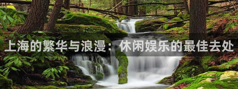 壹号娱乐3平台登录注册：上海的繁华与浪漫：休闲娱乐的最佳去处