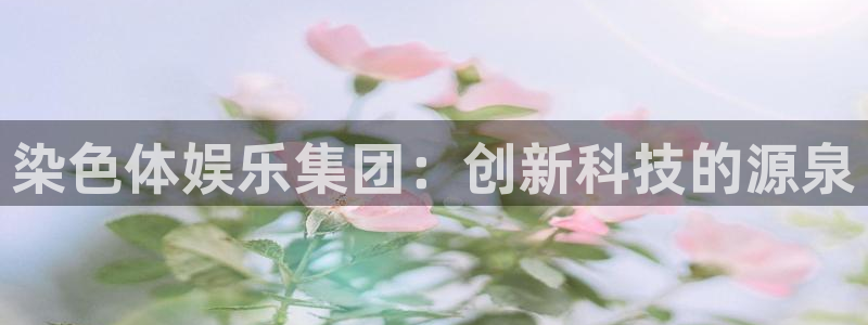 壹号娱乐登陆：染色体娱乐集团：创新科技的源泉