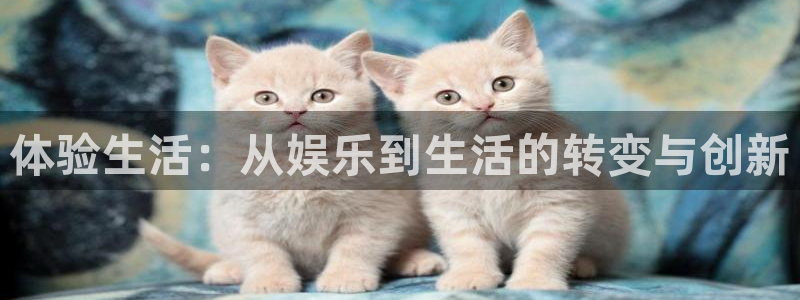 壹号娱乐体育：体验生活：从娱乐到生活的转变与创新