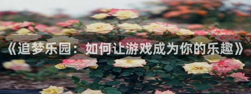 壹号娱乐平台招商：《追梦乐园：如何让游戏成为你的乐趣》